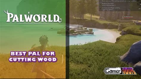 best woodcutting pal|best wood collector palworld.